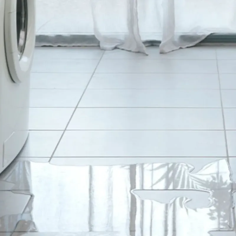 Appliance Leak Cleanup in Gunter, TX