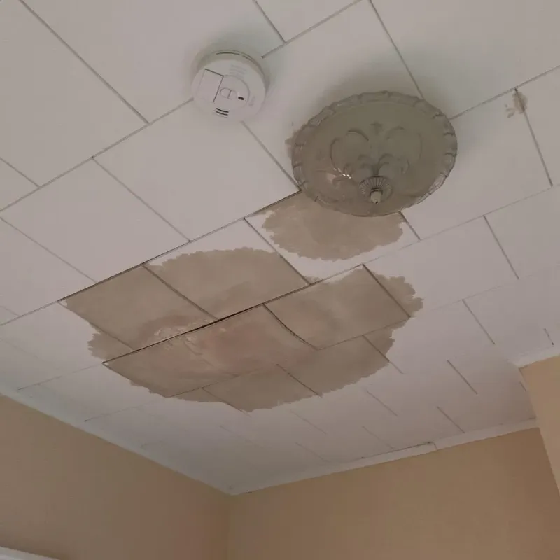 Ceiling Water Damage Repair in Gunter, TX