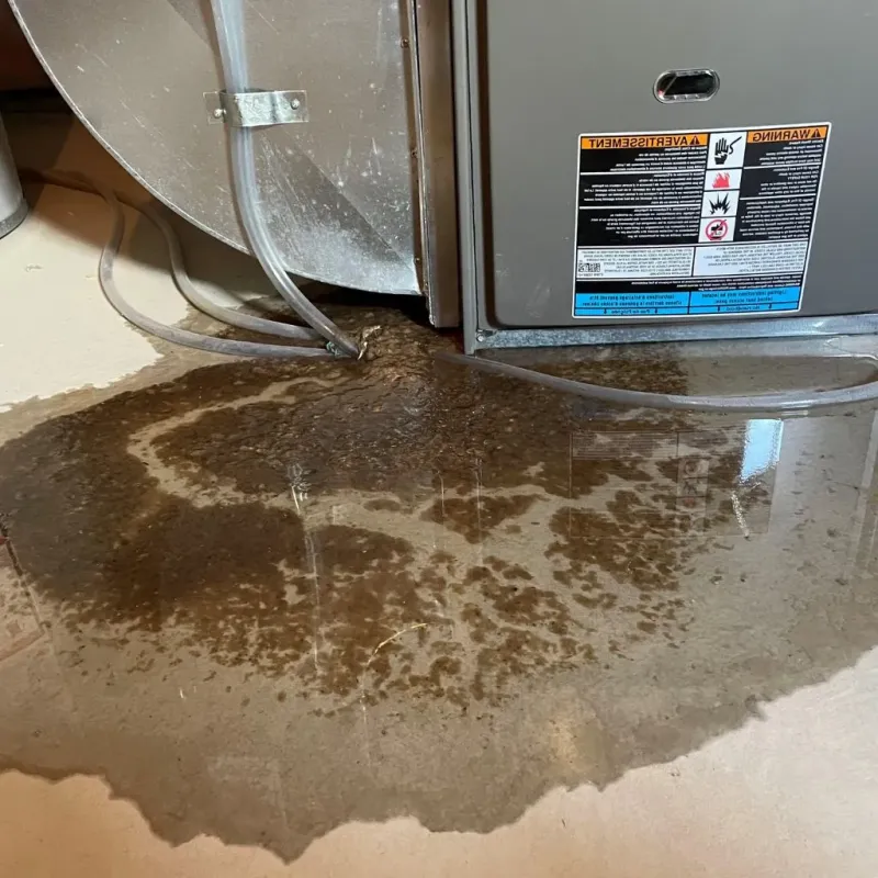 Pipe Burst and Leak Restoration in Gunter, TX