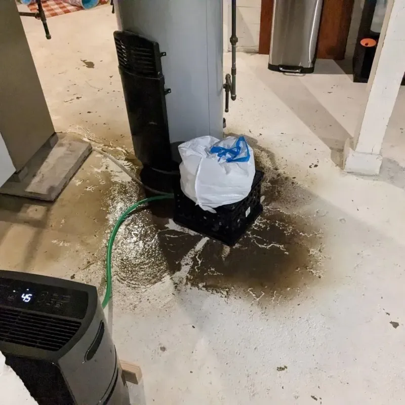 Sewage Backup Cleanup Service in Gunter, TX